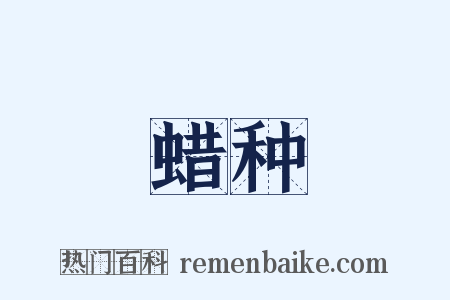 蜡种是什么意思的图片